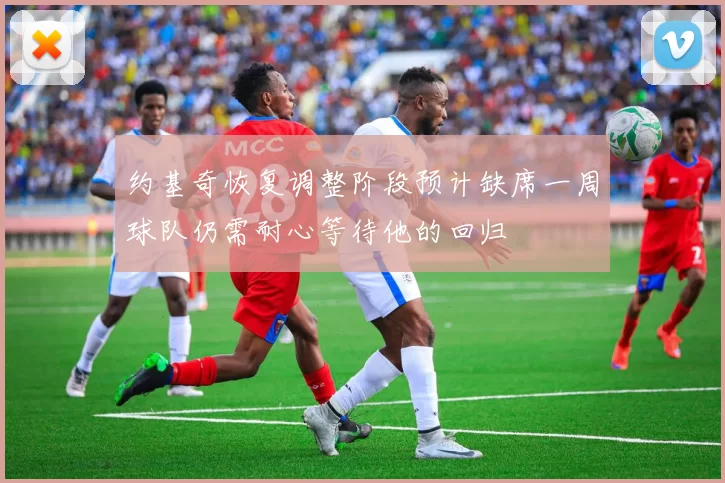 约基奇恢复调整阶段预计缺席一周球队仍需耐心等待他的回归